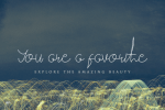 Amoera Signature Font