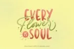Amora Rosed Font