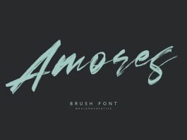 Amores Brush Signature Handmade Font Typeface