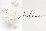 Amorra Script