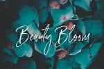 Smarta Handwritten Font