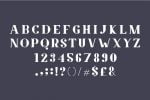 Amphi Font