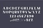 Amphi Font