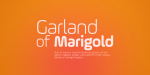 AmpleSoft Font Family