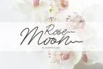 Amsterdam Monoline Signature Font