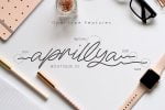 Amsterdam Monoline Signature Font