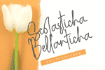 Anasthasya Signature Font