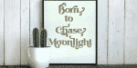 Anchoe Font