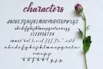 Andhewi Script Font