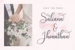 Andina Script Font