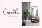 Andina Script Font