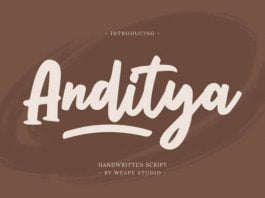 Anditya Font