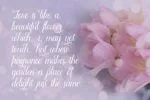 Angella Font