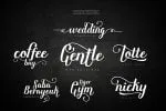Angellife Beauty Script Font