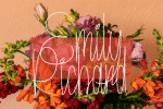Angelofals Font