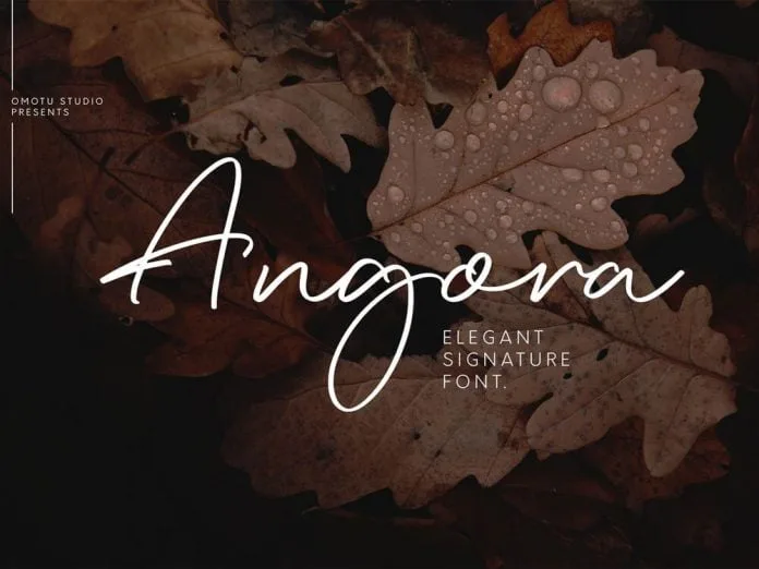 Angora - Elegant Signature Font
