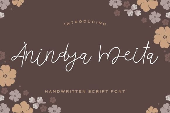 Anindya Meita Font