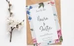 Anisaly Script Font