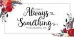 Anitasha Font