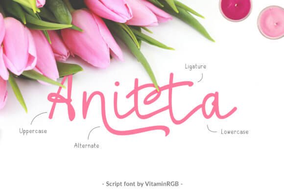 Anitta Script