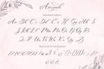 Aniyah Script Font