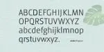 Ankle Font