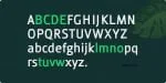 Ankle Font