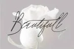 Annitha Font