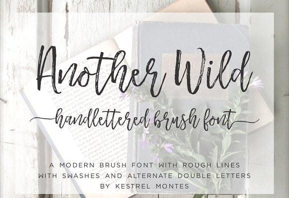 Another Wild Font Free Download - fontforlife.com