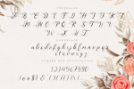 Antasia Font