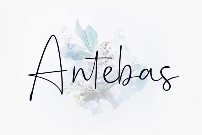 Antebas - Hand Display Script
