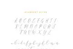 Anter Script Font
