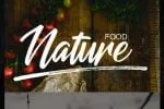 Apparel Font
