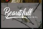 Apparel Font