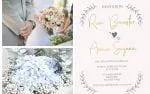Apple Blossom Font