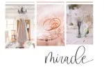 Apricot Camelia Font