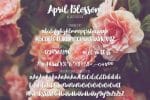 April Blossom Script Brush Font