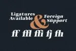 Ar and Co Serif Font