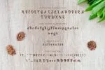 Arale - Bold Beauty Script Font