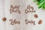 Arale - Bold Beauty Script Font