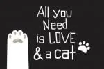 Are You Kitten Me Font