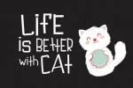 Are You Kitten Me Font