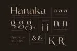 Argue - Stylish Font