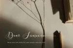 Ariesta Calligraphy Font