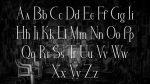 Arina Serif Font