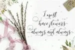 Ariteline Script Font