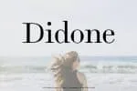 Arlene Serif Font