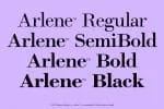 Arlene Serif Font