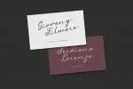 Arnette Script Font