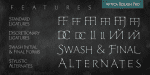 Artica Rough Pro Font